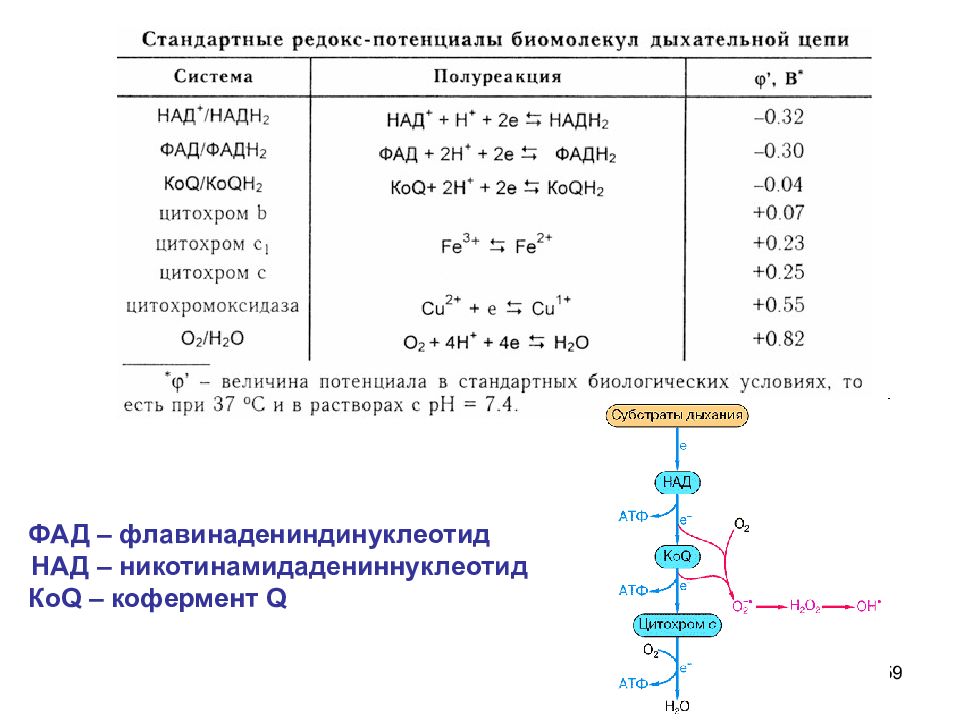 Различные потенциалы. Редокс-потенциалы компонентов дыхательной цепи.. Окислительно восстановительный потенциал дыхательной цепи. Редокс потенциал схема. Редокс потенциал дыхательной цепи.