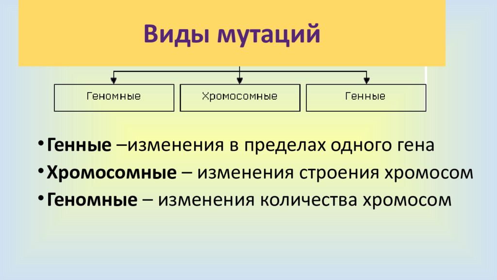 Изменение строения хромосом вид мутации. Генные хромосомные и геномные мутации. Генные и геномные мутации отличия. Типы мутаций генные хромосомные геномные. Генные геномные хромосомные мутации таблица.