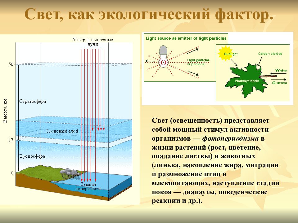 На что в изображении не может повлиять свет