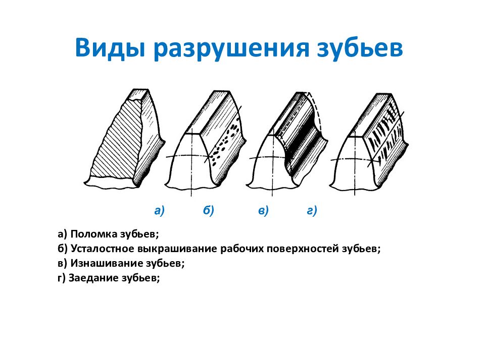 Сидячее зубчатое образование