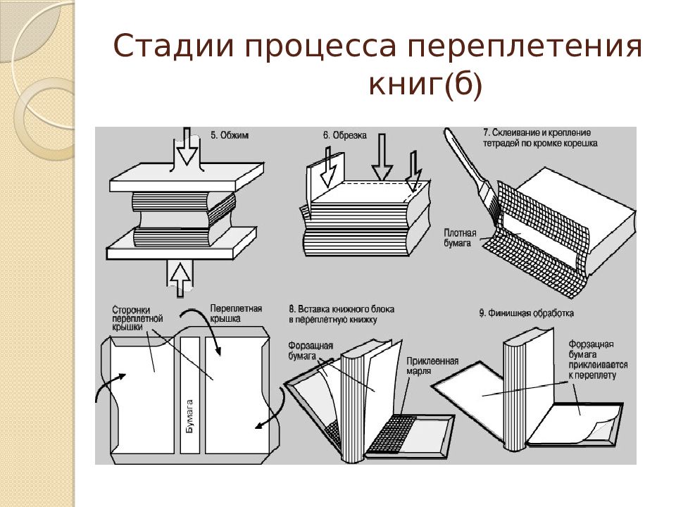 Схема книги. Типы переплетов в полиграфии. Виды переплетов книг. Виды книжных переплетов. Типы переплетных крышек в полиграфии.