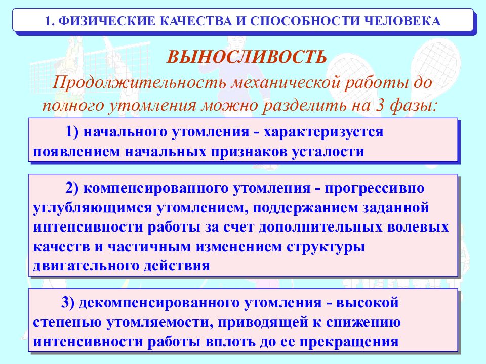 Процессы развития физических способностей. Физические способности человека. Физические качества и физические способности. Качества и способности человека. Основные физические способности человека.