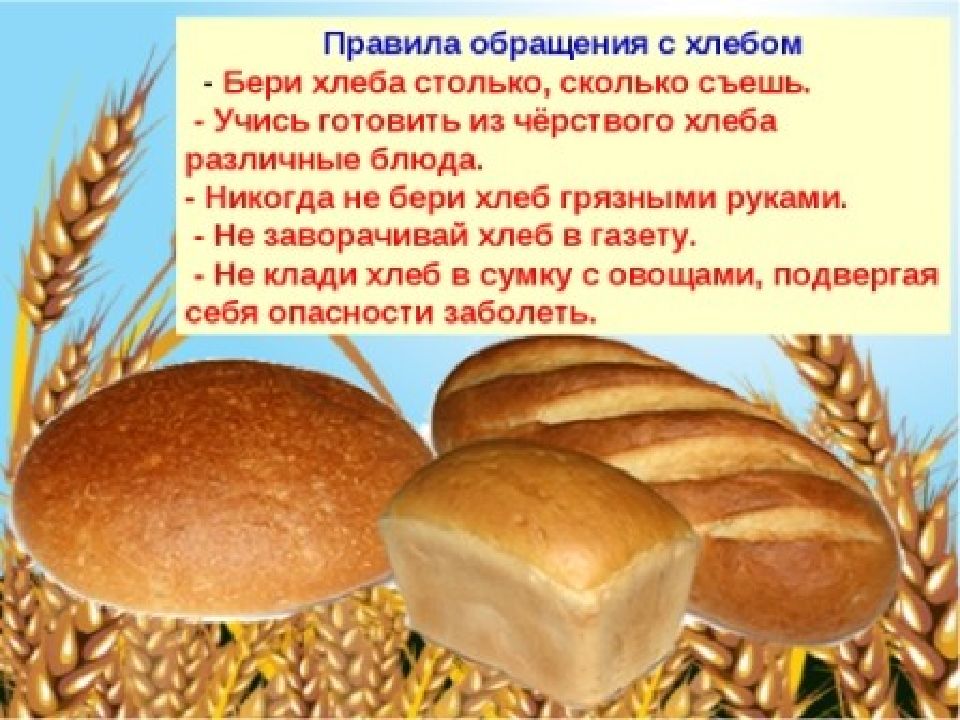 Программа хлеб. Программа хлеб