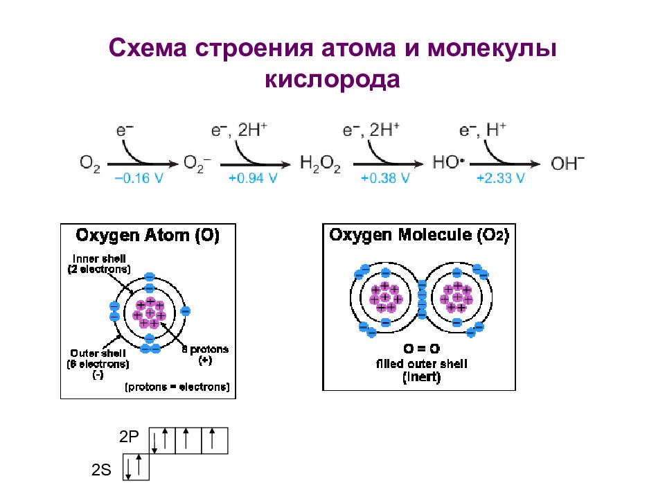 Изобразите электронное строение атома кислорода