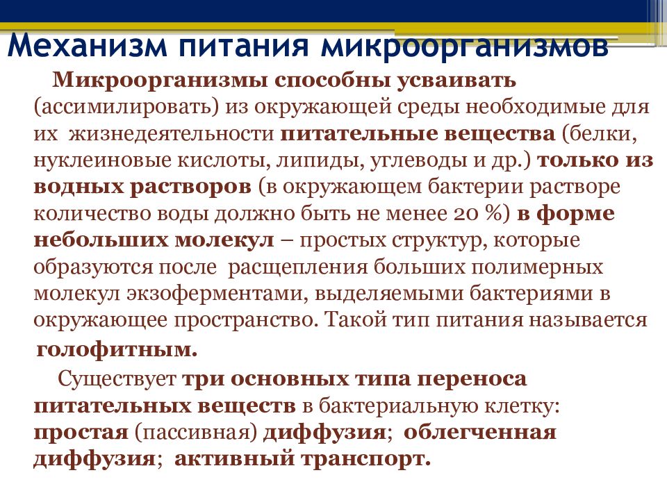 Механизм активности. Механизмы питания микробов. Механизмы питания микроорганизмов. Типы и механизмы питания бактерий микробиология. Механизмы питания бактерий микробиология.