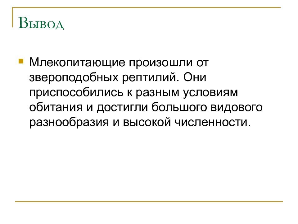 Происхождение и многообразие млекопитающих презентация 7 класс