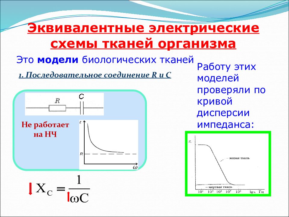 Какие сопротивления должна содержать эквивалентная электрическая схема тканей организма