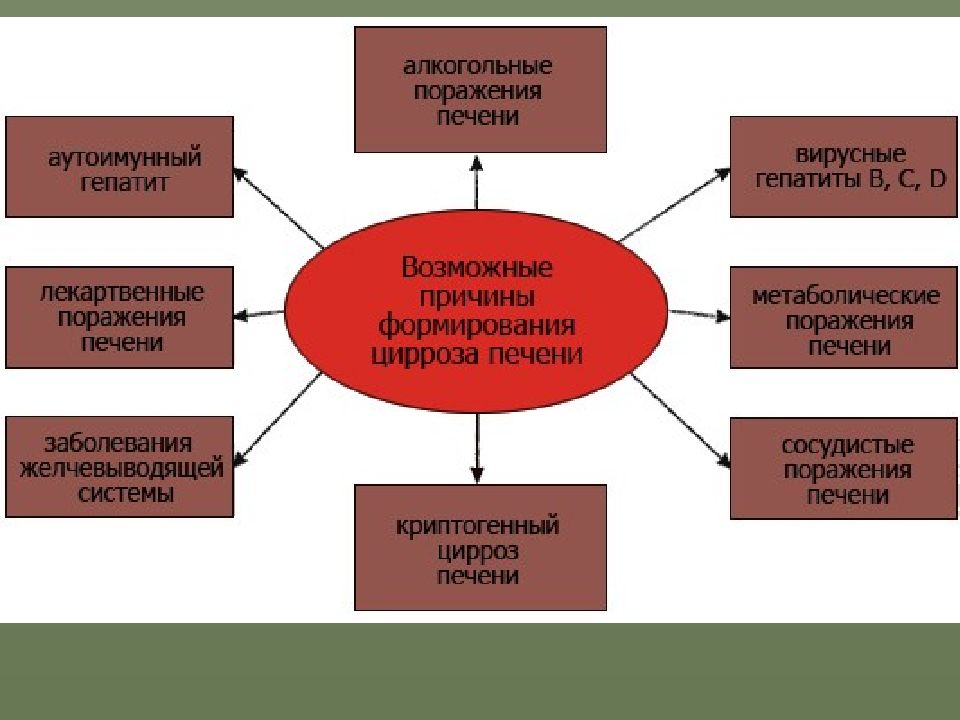 Возможные причины заболевания. Основные причины развития цирроза печени. Факторы возникновения цирроз печени. Факторы развития цирроза печени.