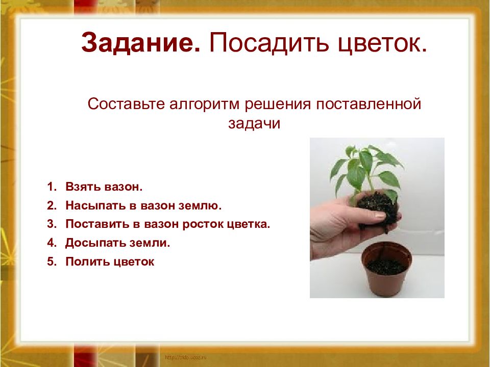 Задачи растения. Алгоритм посадки растений. Алгоритм пересадки комнатных растений. Урок комнатные растения.посадка. Алгоритм комнатные растения.
