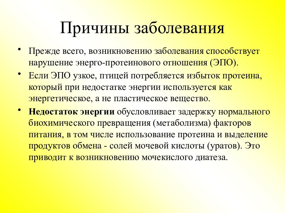 Болезнь корма. Экологическое обоснование газетных трубочек. Экологическое обоснование резинок для плетения. Энерго протеиновое отношение для кур. Экологическое обоснование в плетении газетными трубочками.