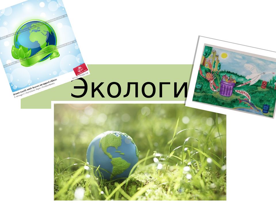 Экология