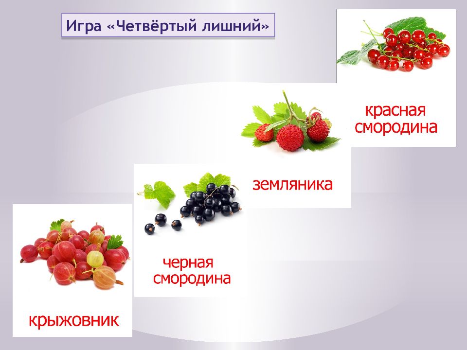 Смородина брусника земляника клубника схемы слов. Ягоды для презентации. Презентация на тему ягоды. Презентация на тему Лесные ягоды для дошкольников. 4 Лишний ягоды.