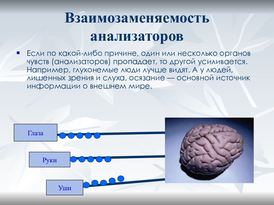 Презентация по биологии органы чувств анализаторы