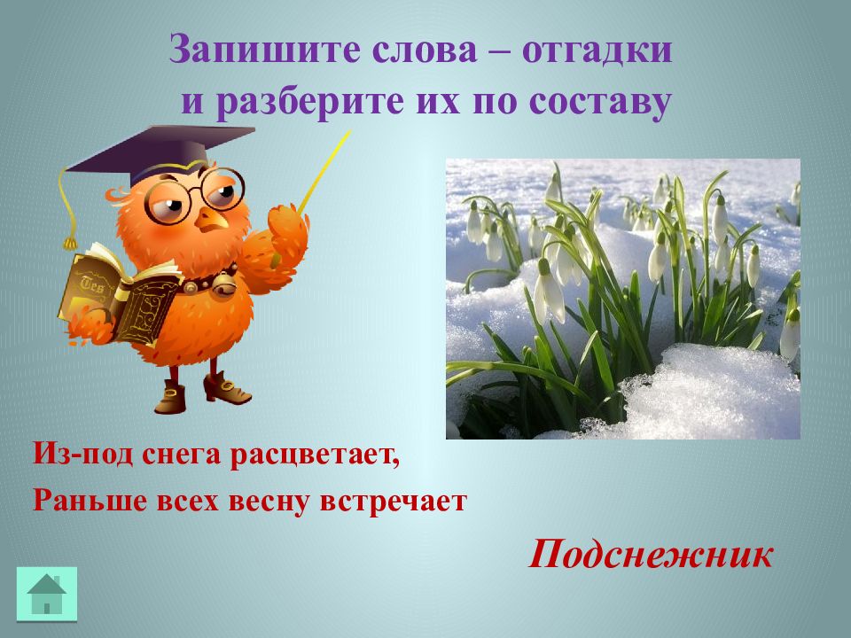 Запишите слово отгадку. Из-под снега расцветает раньше всех весну встречает. Отгадай загадку из-под снега расцветает раньше всех весну встречает. Слово отгадка. Из под снега вышел друг и весной запахло вдруг отгадка.