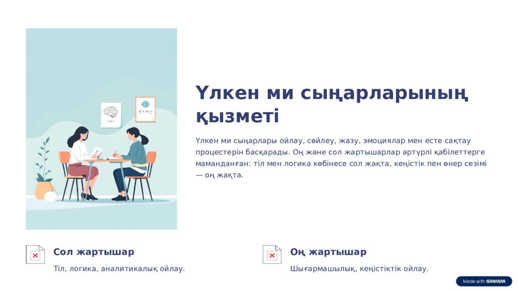 Ми бөлімдері: 7-сынып биологиясы Бұл презентация ми бөліктерінің құрылымы мен