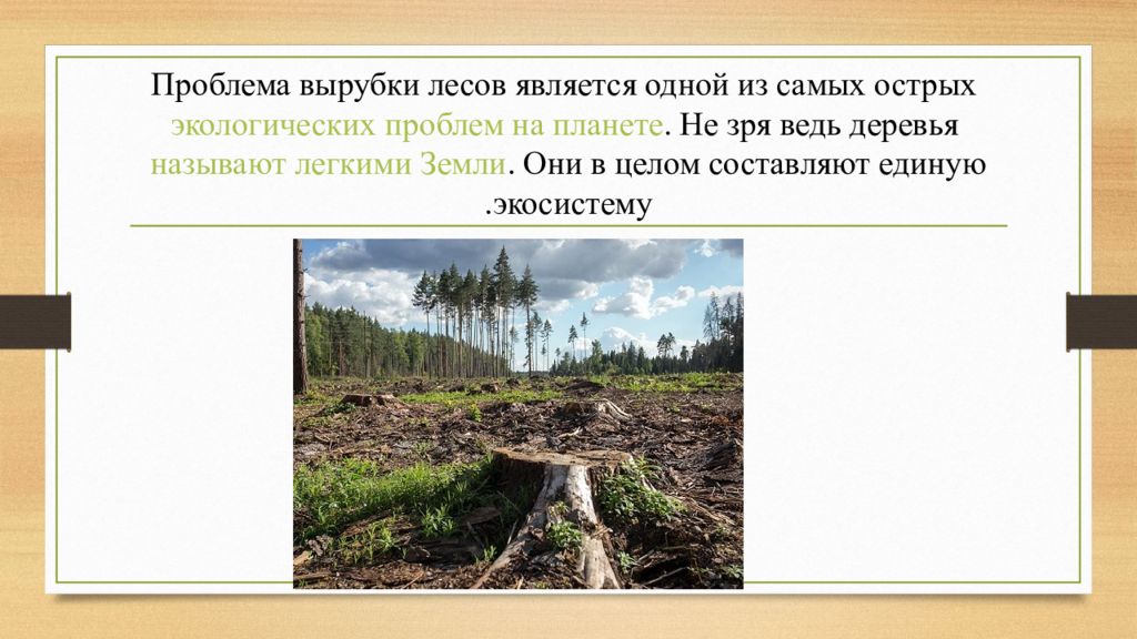 Зачем вырубают леса. Пути решения вырубки тропических лесов. Вырубка лесов презентация. Экологическая проблема вырубки лесов. Последствия вырубки лесов.