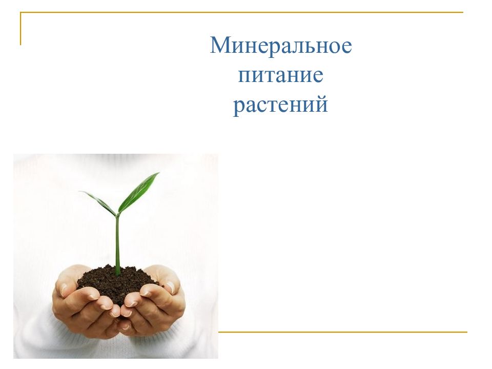 Синонимы термина минеральное питание в ботанике. Питание растений. Минеральное питание. Минеральное питание растений схема. Почвенное питание растений.
