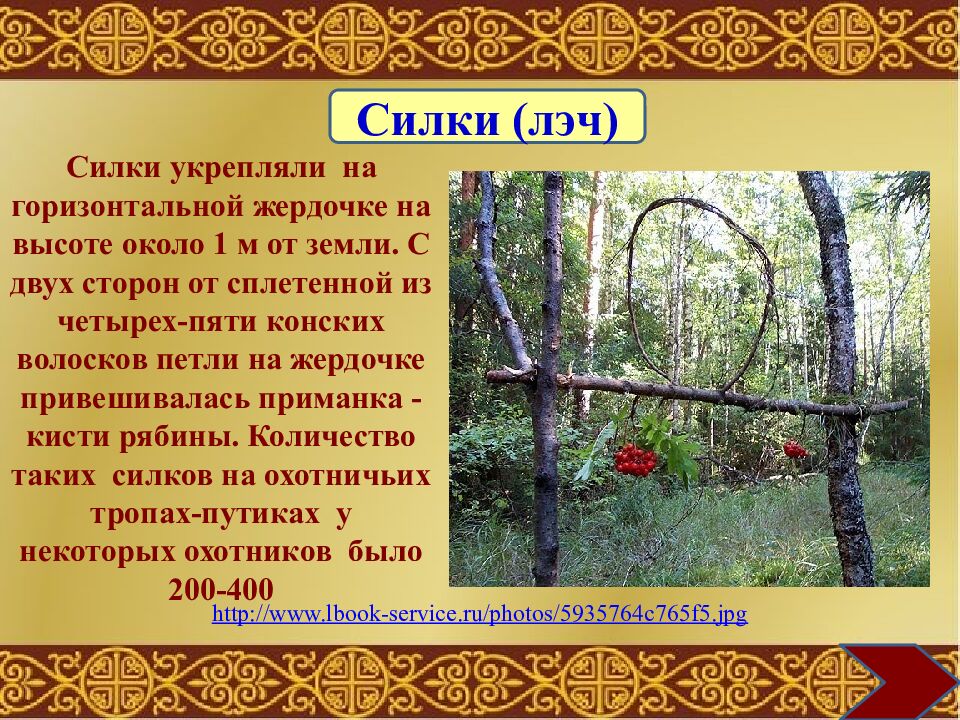 Муниципальное общеобразовательное учреждение «Средняя общеобразовательная