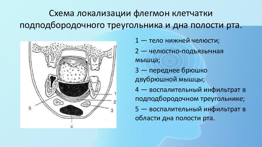 Пространства дна полости рта