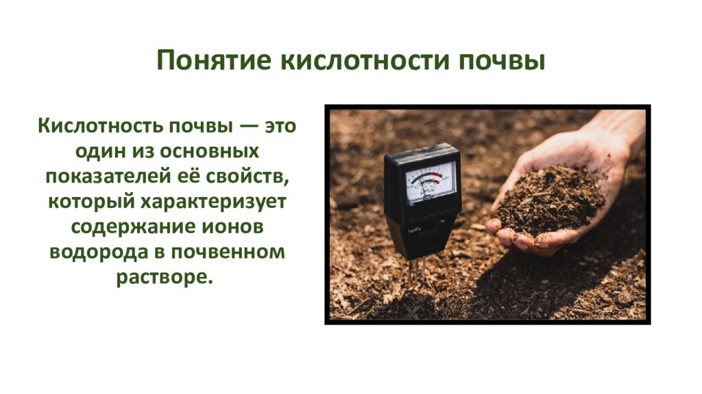 Понятие кислотности почвы