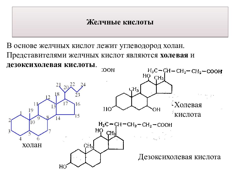 Основа кислот. Формулы желчных кислот биохимия. Формулы парных желчных кислот. Холевая кислота кислота. Структурные формулы желчных кислот.