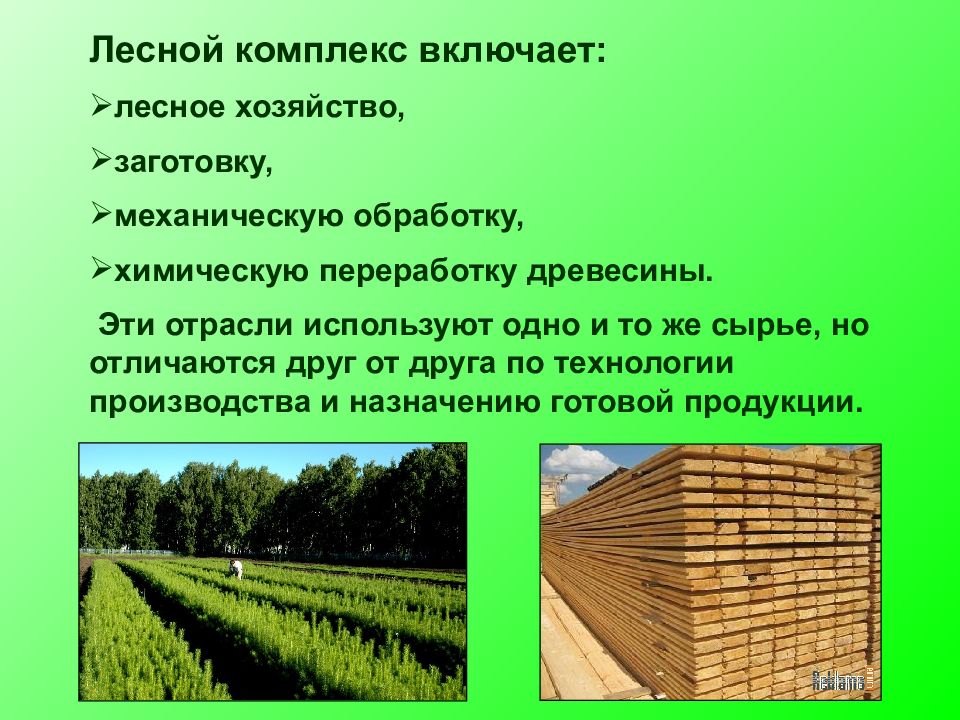 Лесной комплекс 9. Лесное хозяйство Лесной комплекс. Лесное хозяйство презентация. Структура лесного комплекса. Лесная промышленность презентация.