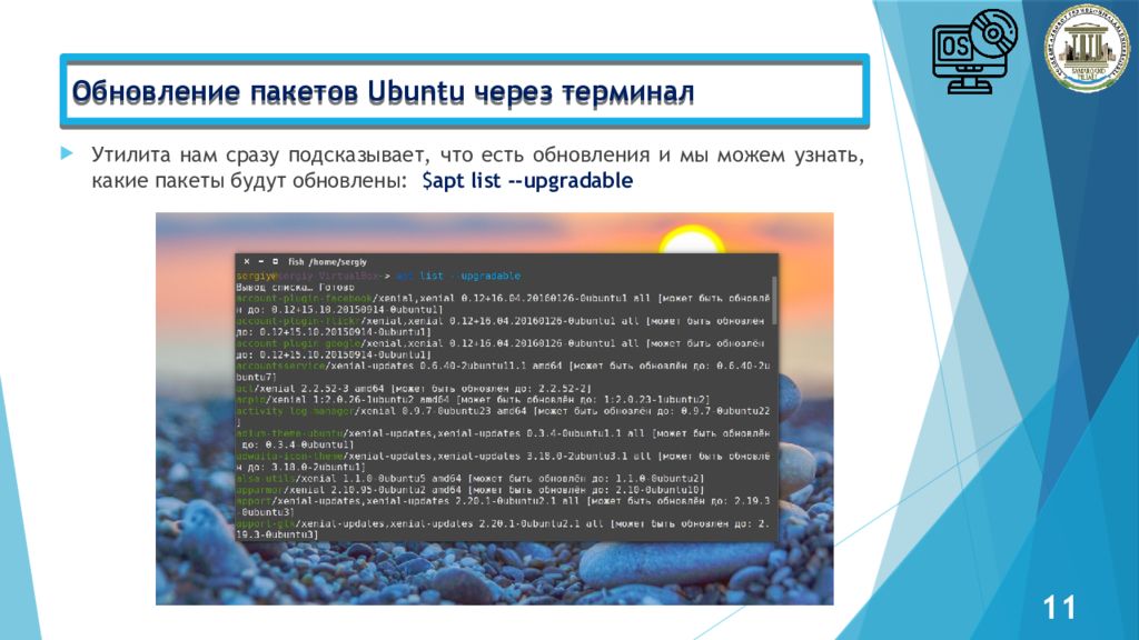 Администрирование Linux сервер Обновление пакетов Ubuntu через терминал