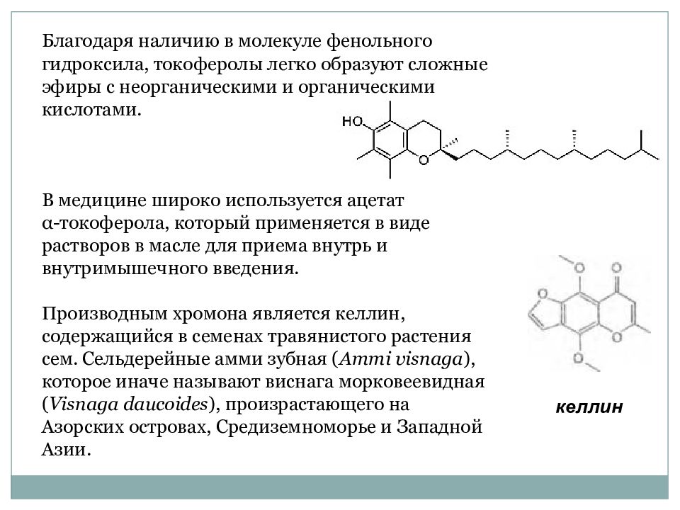 Вторичный метаболизм растений презентация