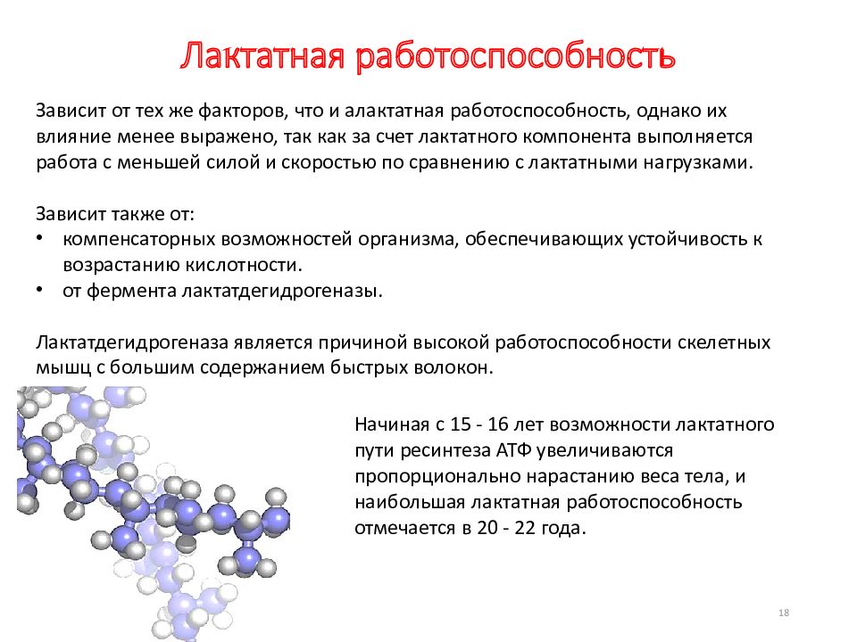 Биохимические основы работоспособности презентация