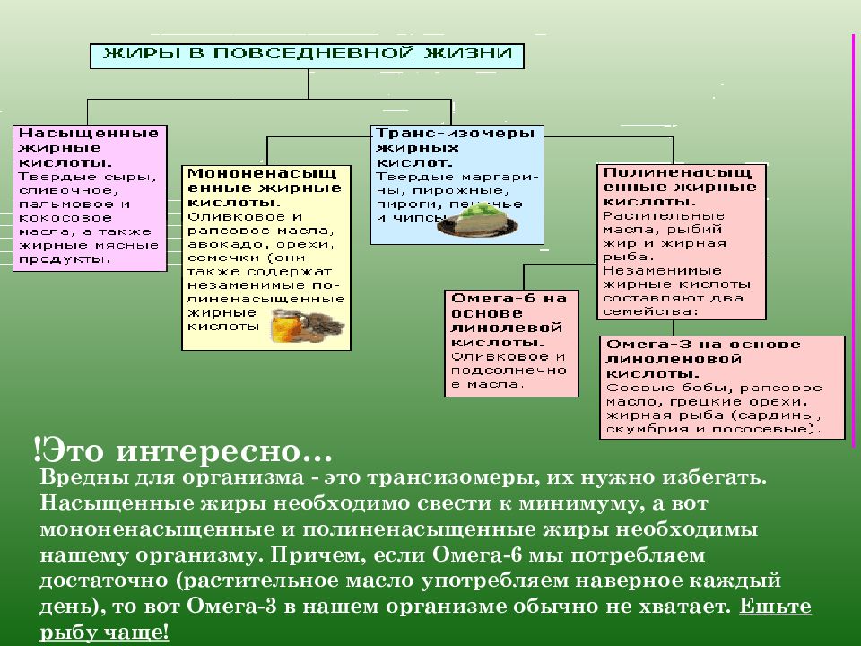 Обмен белков жиров и углеводов презентация