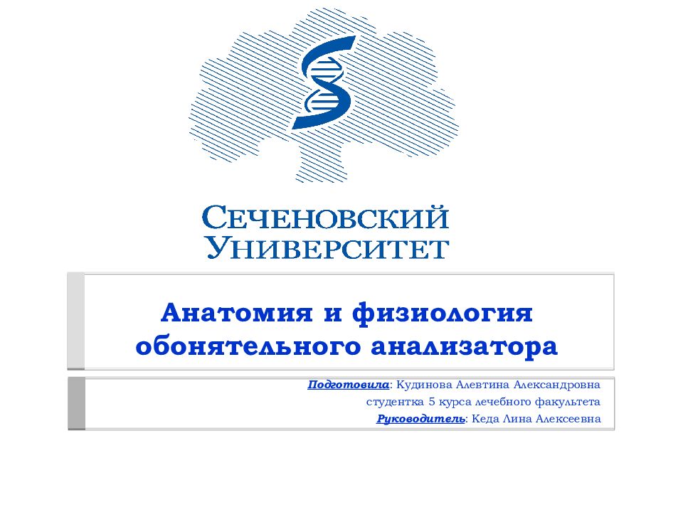 Анатомия и физиология обонятельного анализатора