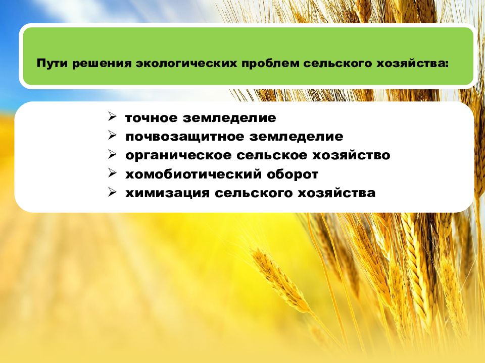 Сельская среда и сельское хозяйство. Пути решения проблем сельского хозяйства. Решение экологических проблем сельского хозяйства. Пути решения сельскохозяйственных экологических проблем. Экологические проблемы растениеводства.