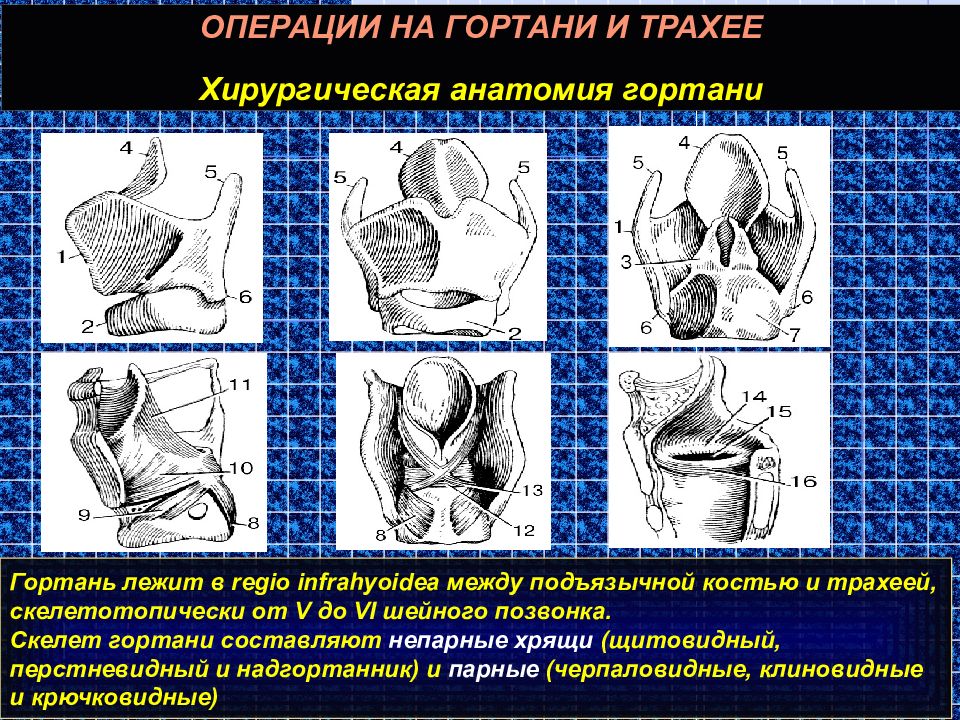 Операции на шее презентация