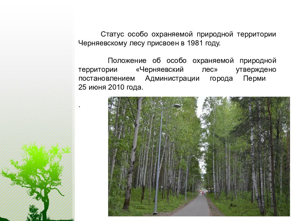 Охраняемые природные территории тульской области. ООПТ Черняевский лес. ООПТ города Пермь. ООПТ охраняемый ландшафт Черняевский лес презентация. Особо охраняемые природные территории Перми книгна\.