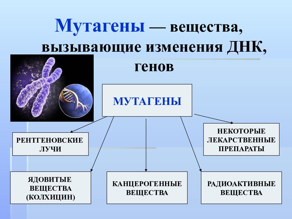 Радиационный мутагенез презентация