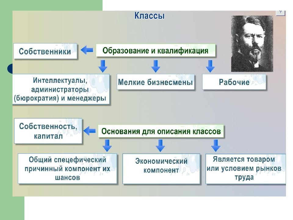 Проект по обществу 11 класс