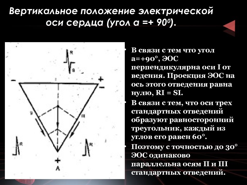 Вертикальное положение. Электрическая ось сердца вертикальная. Вертикальное положение электрической оси. Вертикальное положение сердца. Вертикальное положение оси сердца.