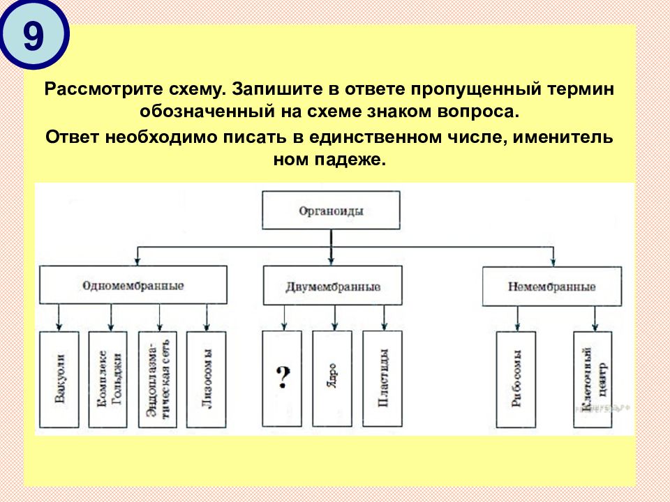 Рассмотрите предложенную схему запишите в ответе. Пропущенный термин, обозначенный на схеме знаком вопроса. Ответ:. Запиши понятие, пропущенное в схеме. ￼. Пиши понятие, пропущенное в схеме. ￼. Рассмотрите схему.