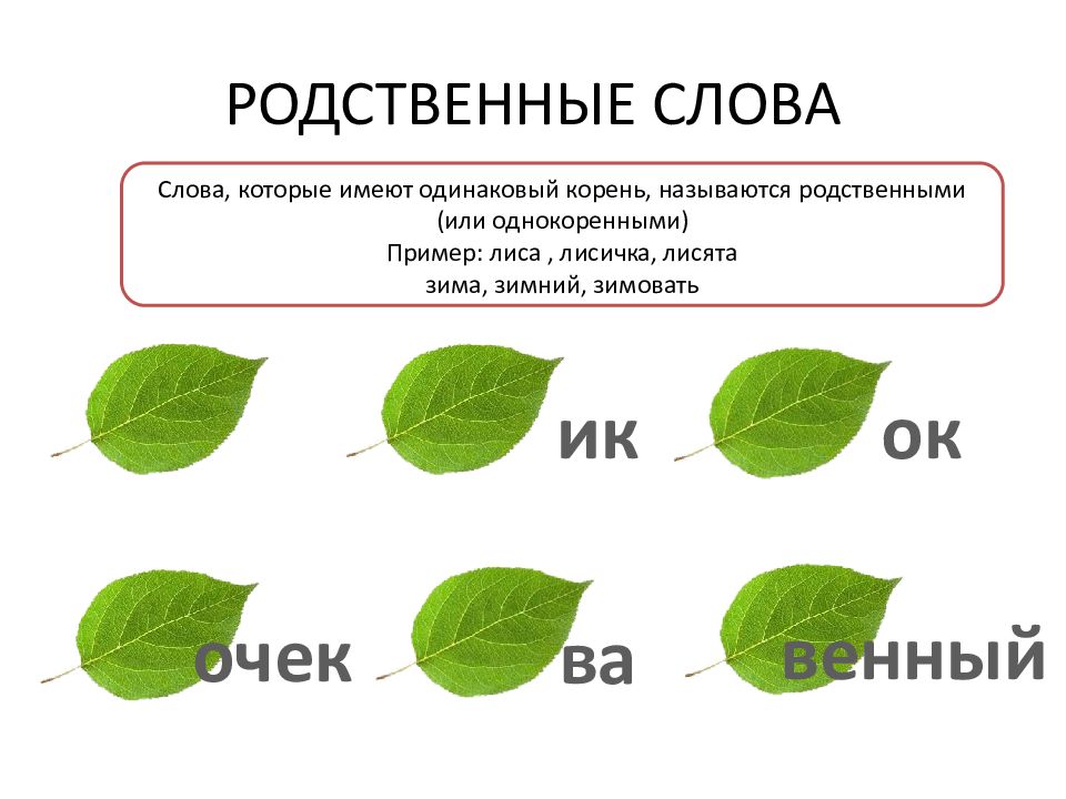 Названо корень слова. Слова имеющие одинаковый корень называются. Слова которые имеют одинаковый корень.