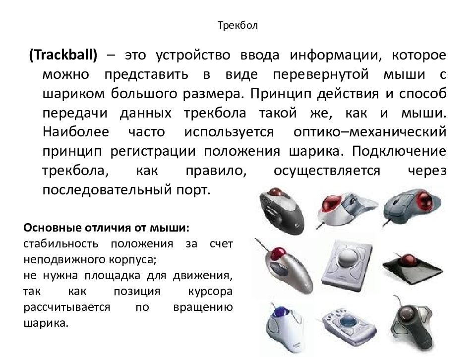 Виды обеспечения компьютерной графики