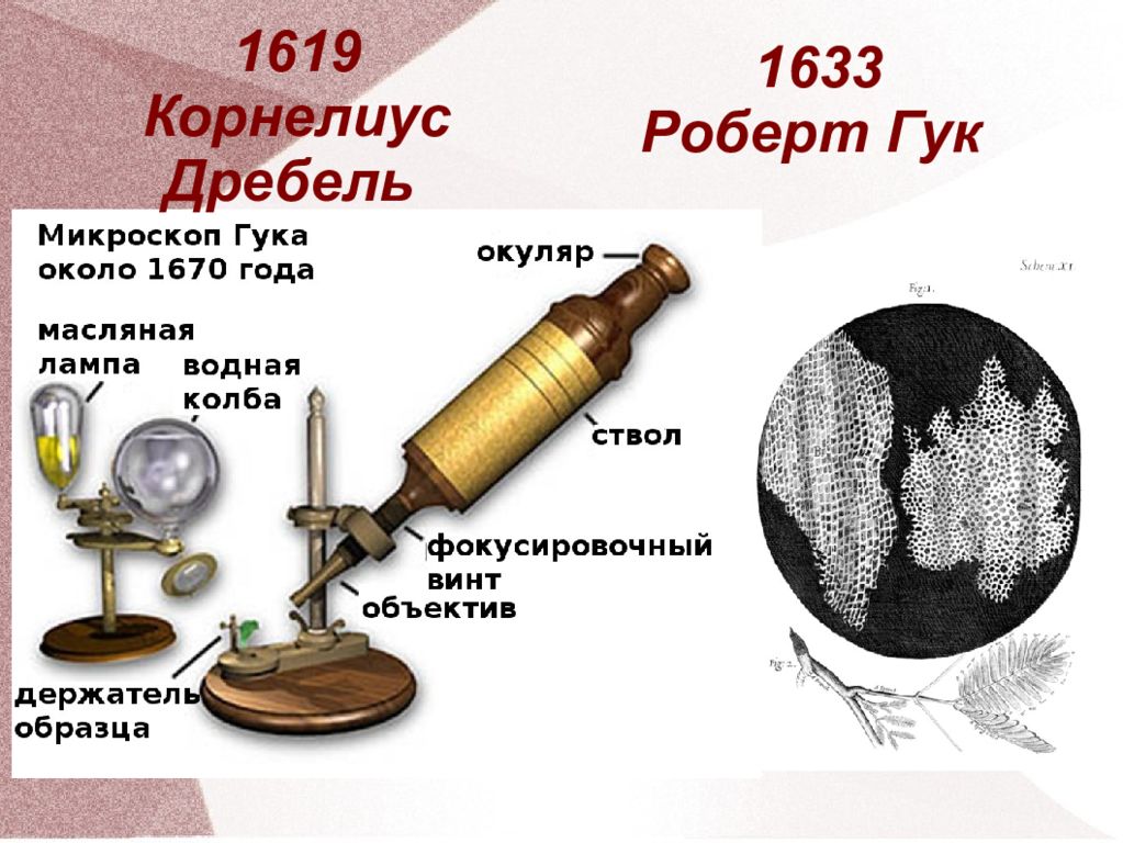 История создания микроскопа презентация