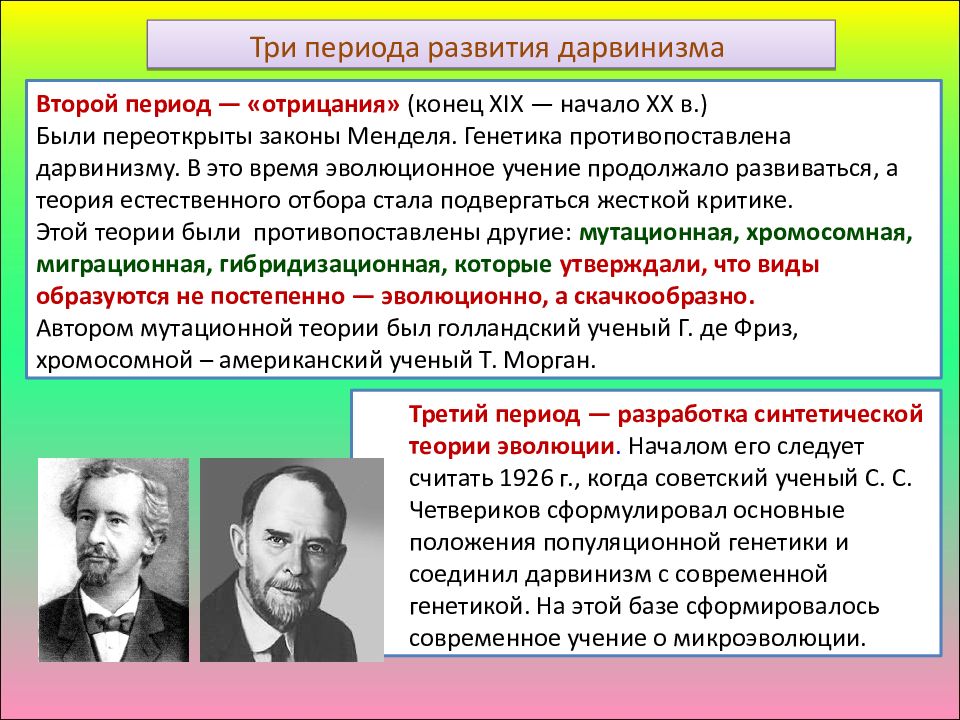 Возникновение дарвинизма. Шмальгаузен синтетическая теория эволюции. Три периода развития дарвинизма. Основные положения синтетической теории эволюции. Три периода развития дарвинизма второй период.