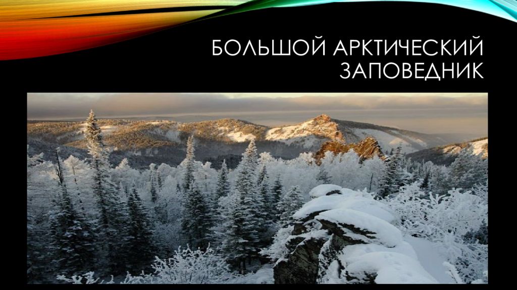 Большой Арктический заповедник