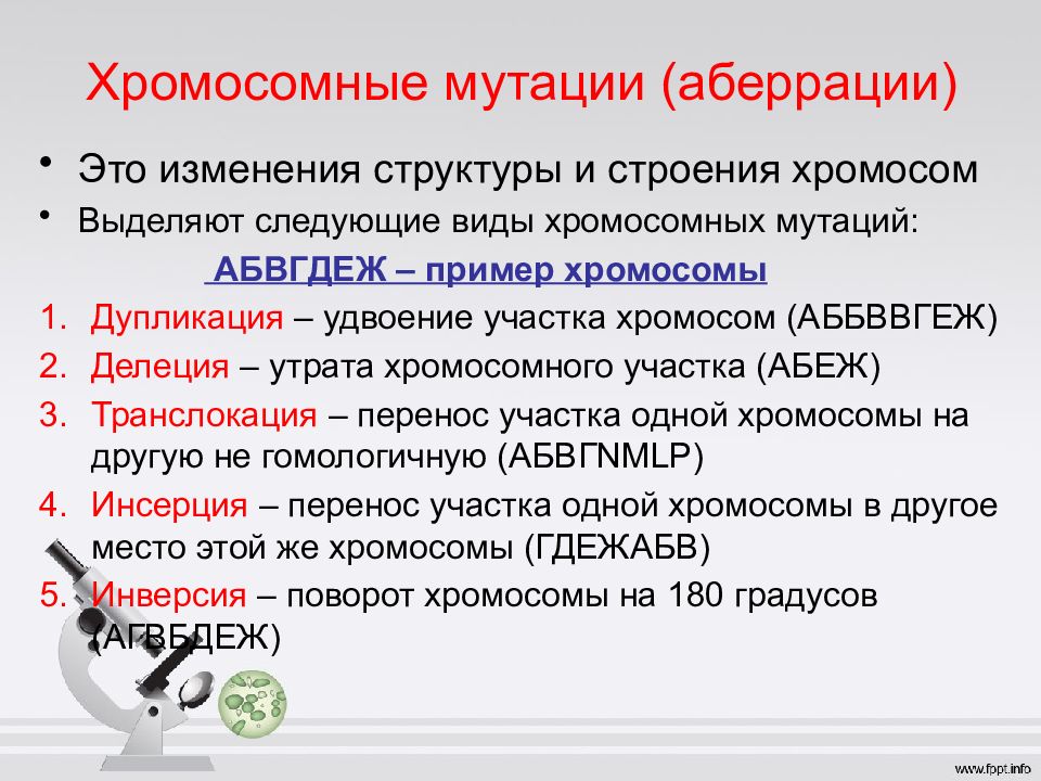 Хромосомные аберрации. Хромосомные мутации аберрации. Хромосомные аберрации и их виды. Хромосомные аберрации примеры. Хромосомные аберрации классификация.