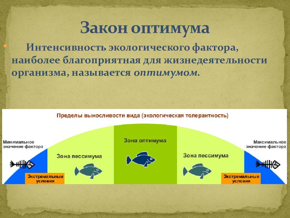 Закономерности влияния экологических факторов на организмы презентация 11 класс