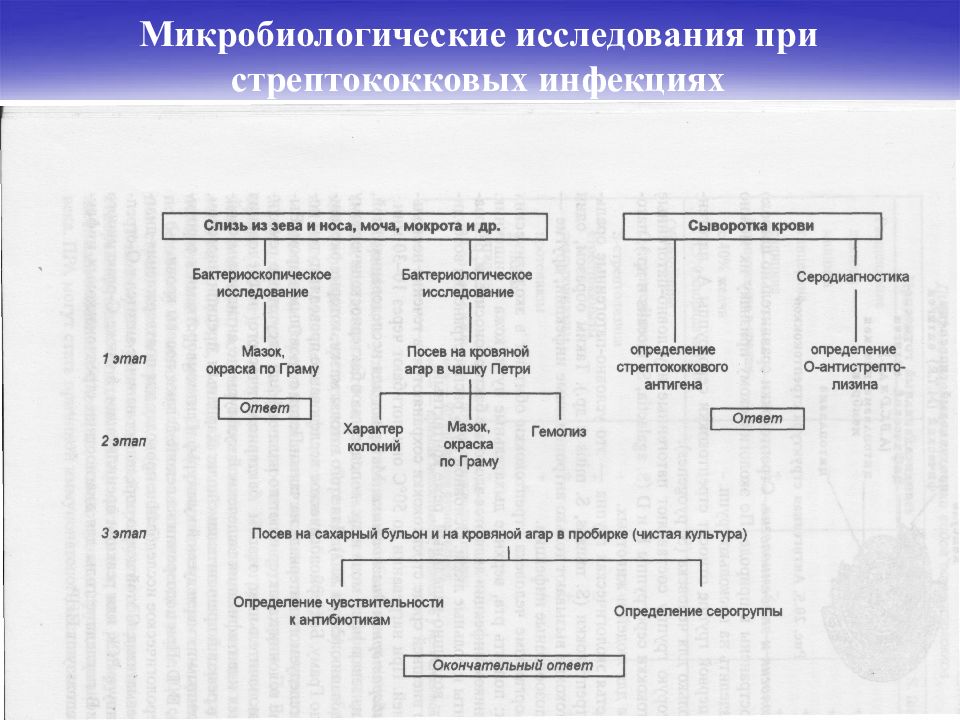 Схема микробиологического исследования стрептококковой. Схема микробиологического исследования туляремии. Микробиологическое исследование при раневой анаэробной инфекции. Схема микробиологического исследования стафилококков.