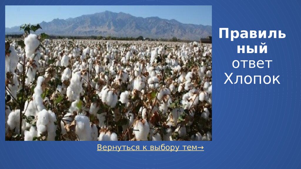 Правильный ответ Хлопок