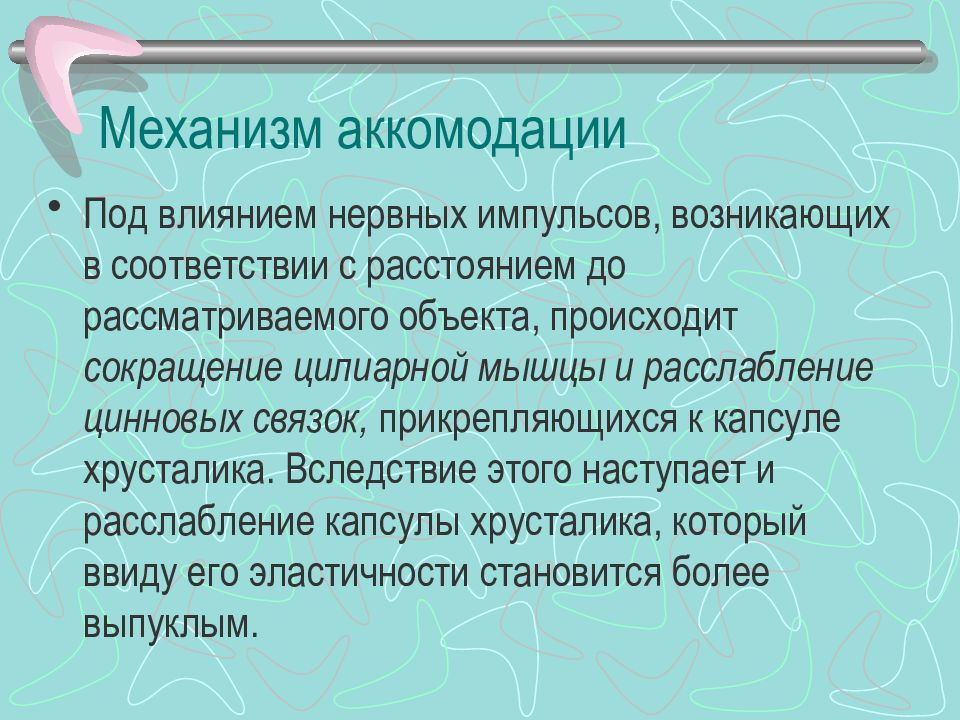 Механизм аккомодации презентация