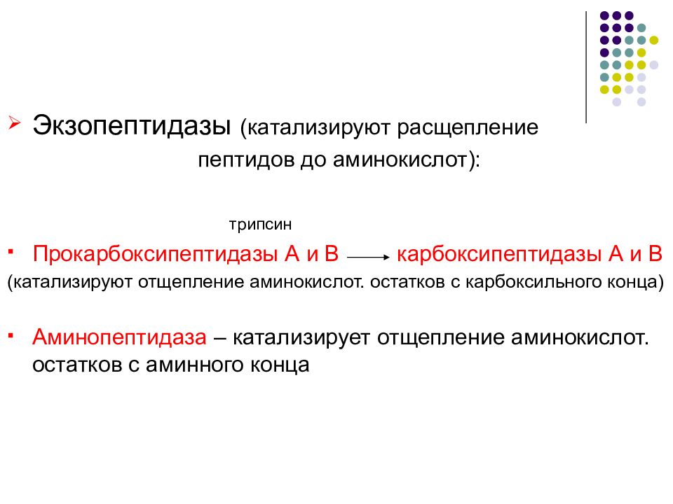 расщепление белков начинается. белки до аминокислот расщепляются под действием. первичная структура пептидов и белко. где происходит расщепление пептидов. белки в жкт расщепляются до.