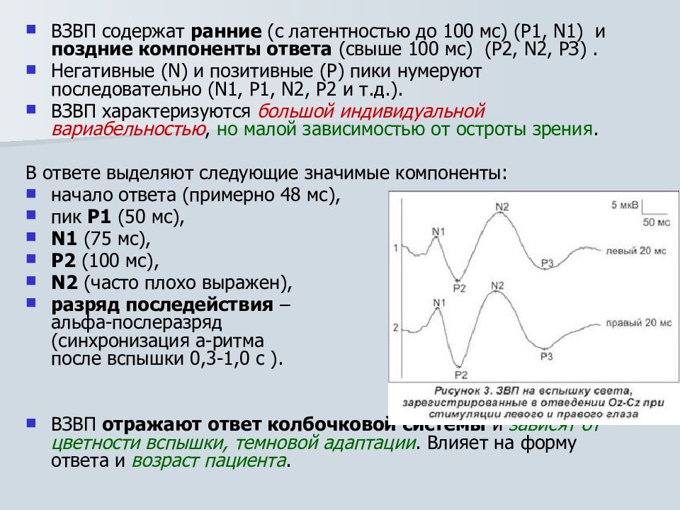 Зрительные вызванные потенциалы